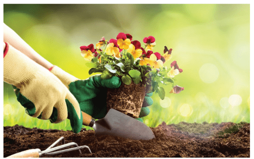 Mother’s Day Planting, May 11 & 12