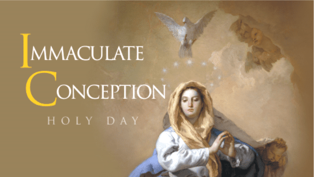 Solemnity of the Immaculate Conception of the Blessed Virgin Mary